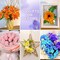 621PCS Nylon Stocking Flower Making Kit, Mixed Colors Nylon Stocking Fabric with Complete Materail, Tools and Step-by-Step Video for DIY Silk Flowers Arts and Crafts for Home Wedding Party Decoration